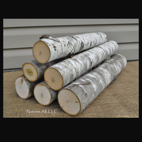Fireplace Logs Decorative Logs Aspen Logs 6 Piece Set 16 Inch Lengths Rustic Home Decor