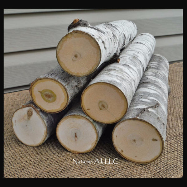 Fireplace Logs Decorative Logs Aspen Logs 6 Piece Set 16 Inch Lengths Rustic Home Decor