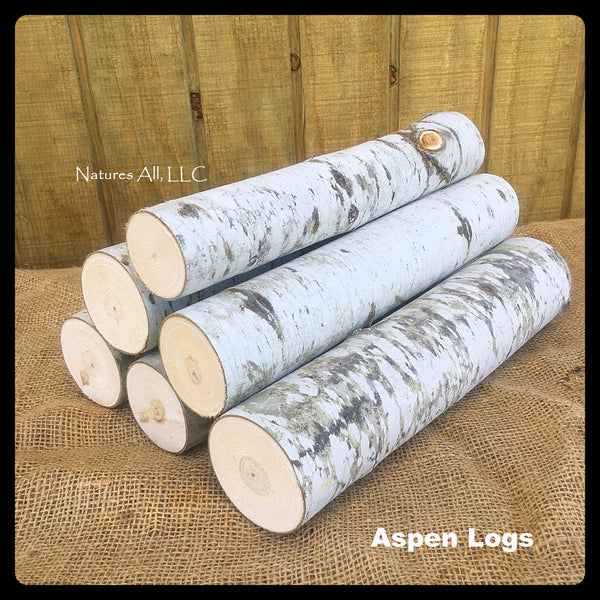 Fireplace Logs Decorative Logs Aspen Logs 6 Piece Set 12 Inch Lengths Rustic Home Decor