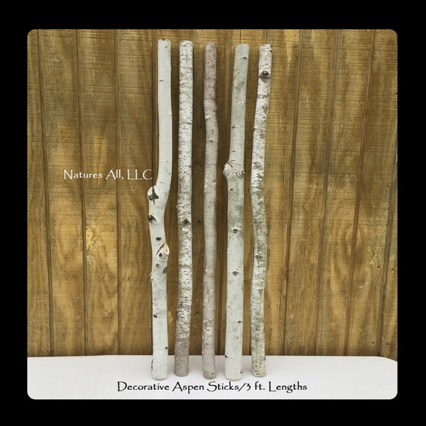 3 ft Decorative Sticks Vase Branches Planter Sticks Aspen Poles Decorations 5 Piece Set