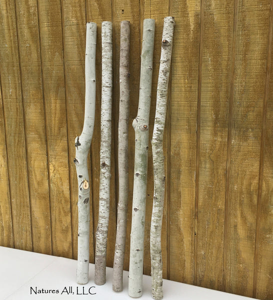 3 ft Decorative Sticks Vase Branches Planter Sticks Aspen Poles Decorations 5 Piece Set